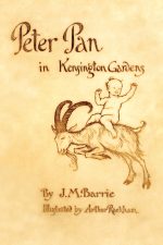 Peter Pan in Kensington Gardens by J.M Barrie Literary Art Prints