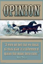 Opinion