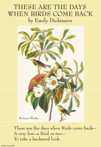 Illustrated by "Bachman's Warbler" by James Audubon; Emily Elizabeth Dickinson