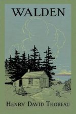 Walden Henry David Thoreau Book Cover Art Print